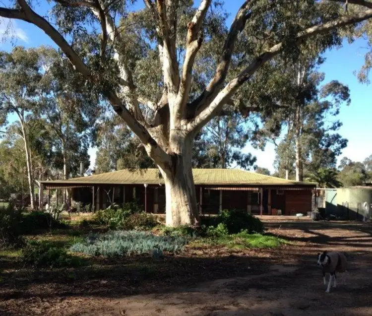 Main view of Homely house listing, 104 Allowah Court, Nagambie VIC 3608