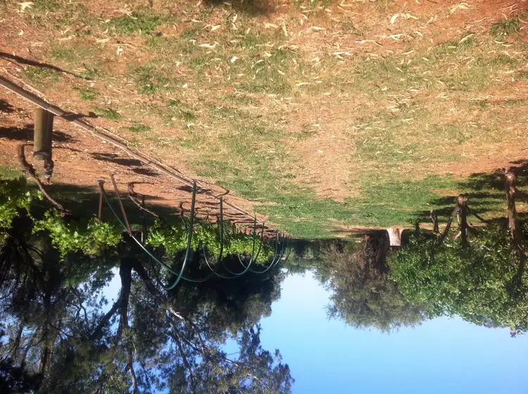 Seventh view of Homely rural property listing, 45-65 Cussens Road, Tatura VIC 3616
