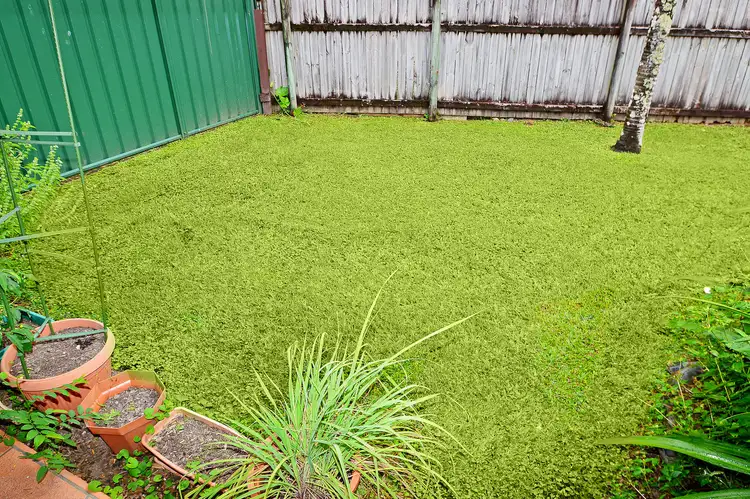 Fifth view of Homely unit listing, 1/108 Mayers Street, Manunda QLD 4870