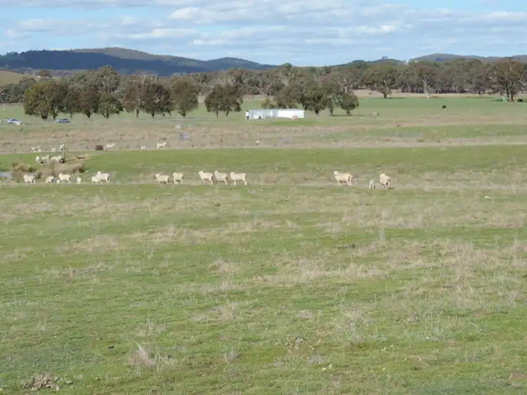 Main view of Homely rural property listing, 197 Kangaloolah Road, Binda NSW 2583