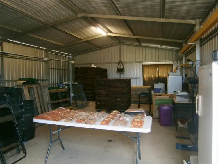 Sixth view of Homely rural property listing, 116 Eagle Lane, Koraleigh NSW 2735
