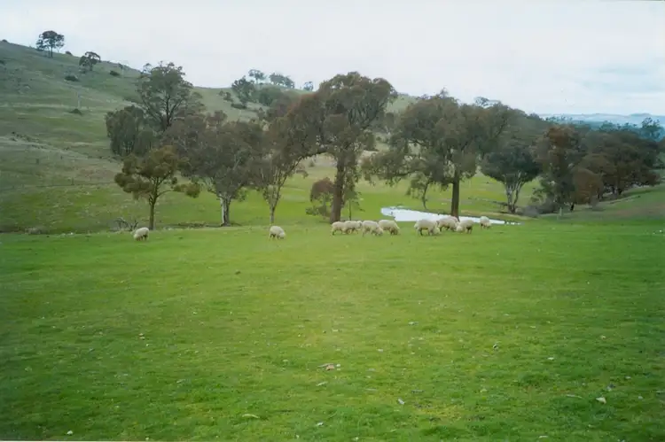 Lot 61 Greenmantle Road, Bigga NSW 2583