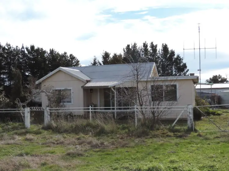 Main view of Homely rural property listing, Toronto Kangaloolah Road, Binda NSW 2583