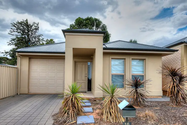 16 Prescott Street, Clearview SA 5085