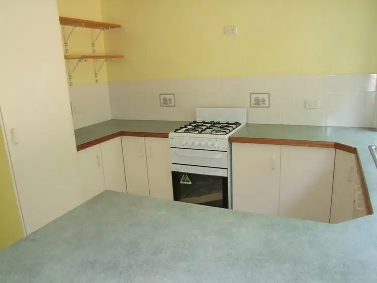 Third view of Homely rural property listing, 98 Scrubby Creek Road, Scrubby Creek QLD 4570