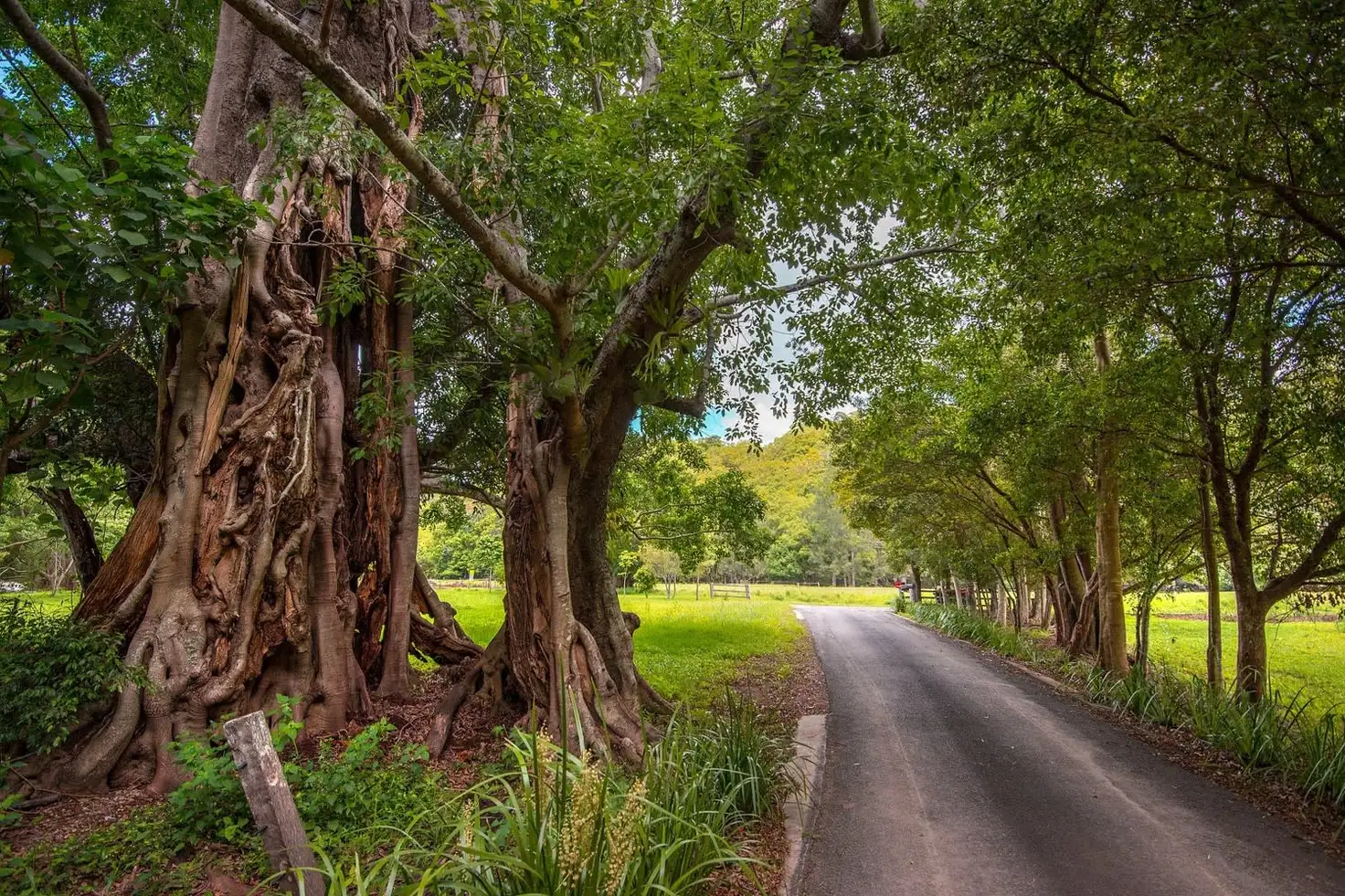 Main view of Homely rural property listing, Lot 8/46 Durrumbul Road, Main Arm NSW 2482