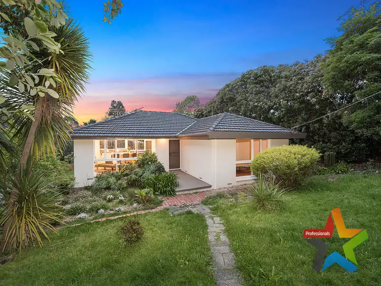 Main view of Homely house listing, 53 Pine Road, Mooroolbark VIC 3138