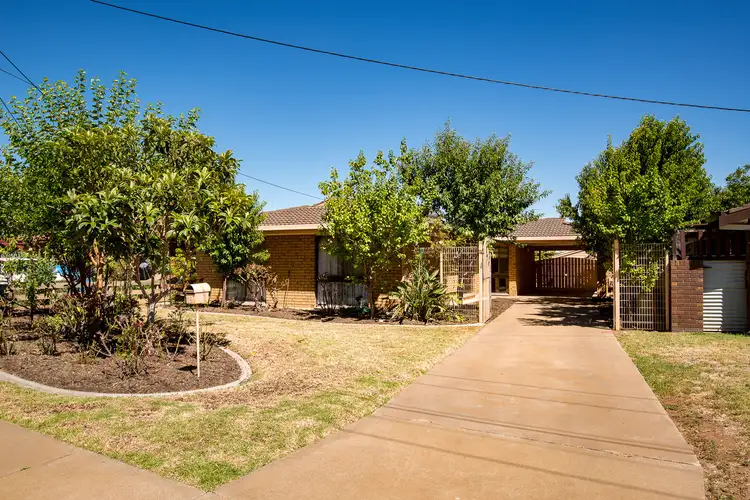 19 Coleman Avenue, Mildura VIC 3500