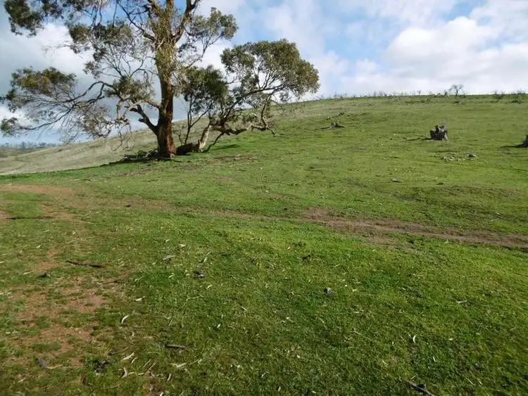 Second view of Homely rural property listing, Sec 195 Mills Road, Beetaloo SA 5523
