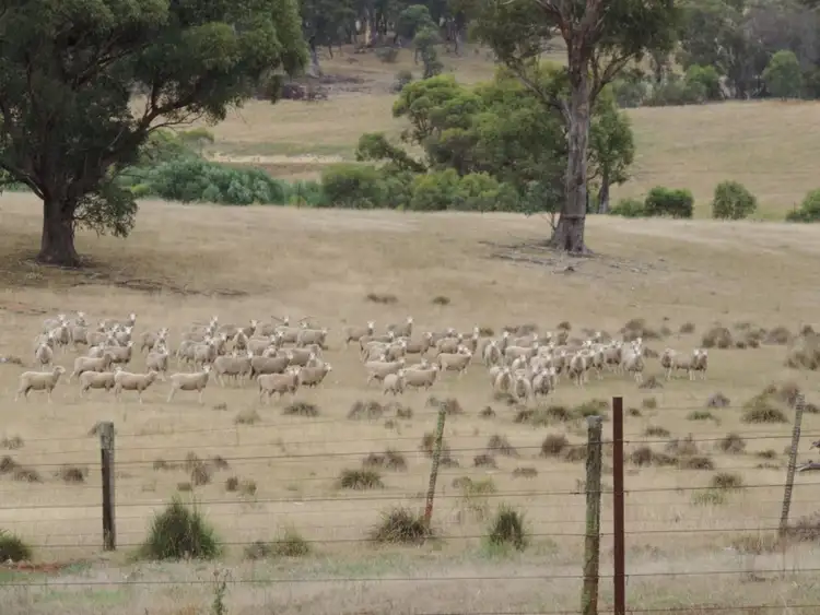Fifth view of Homely rural property listing, 700 Jerrong Road, Taralga NSW 2580