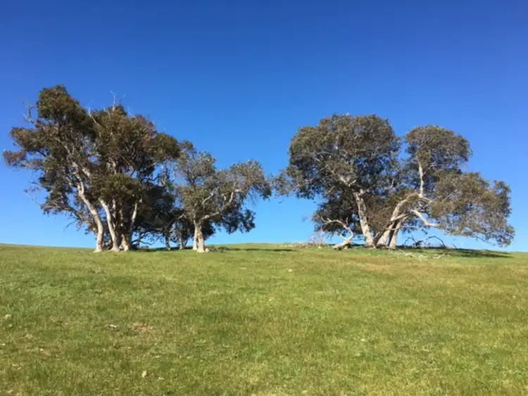 Fifth view of Homely rural property listing, 211 Enterprise Road, Yundi SA 5172