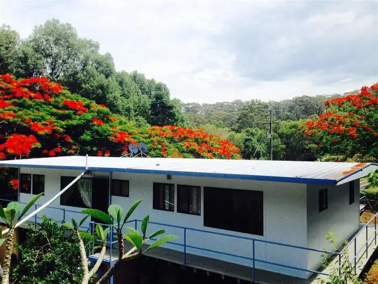 Main view of Homely rural property listing, 2429 Coolamon Scenic Drive, Mullumbimby NSW 2482