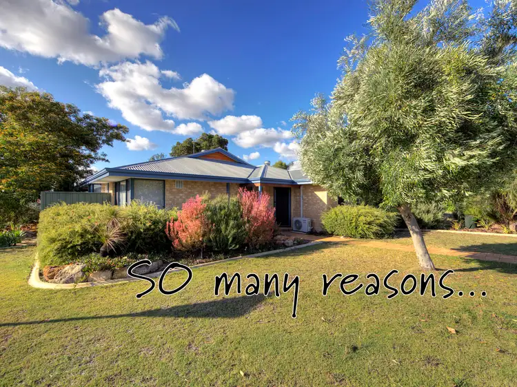 37 Apricot Street, Forrestfield WA 6058