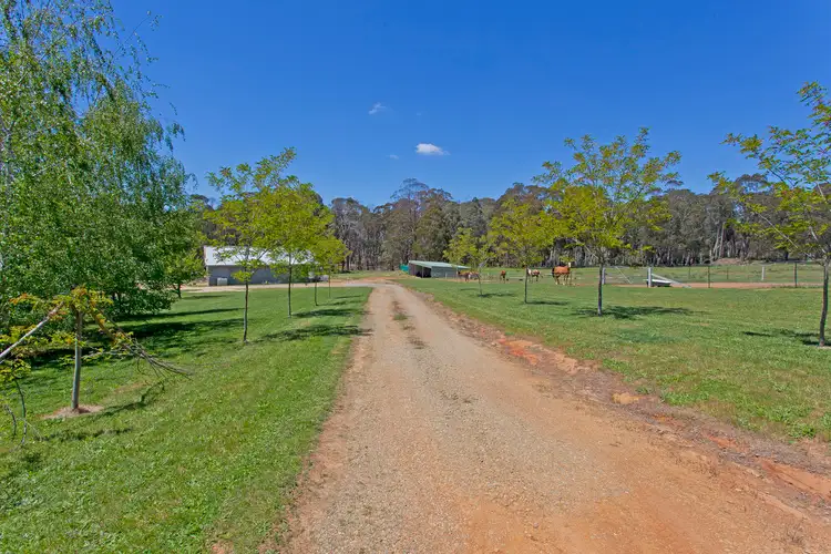 Sixth view of Homely house listing, 60A Lower Nine Mile Road, Stanley VIC 3747