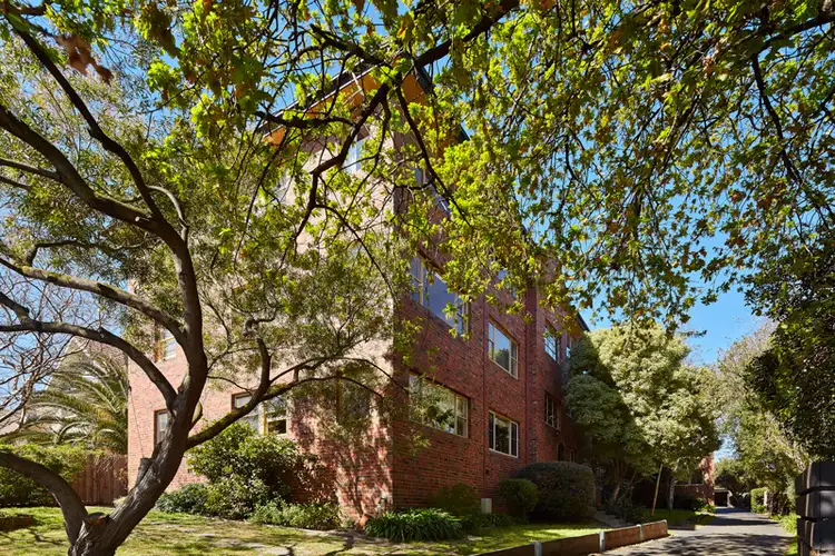 4/205 Alma Road, St Kilda East VIC 3183