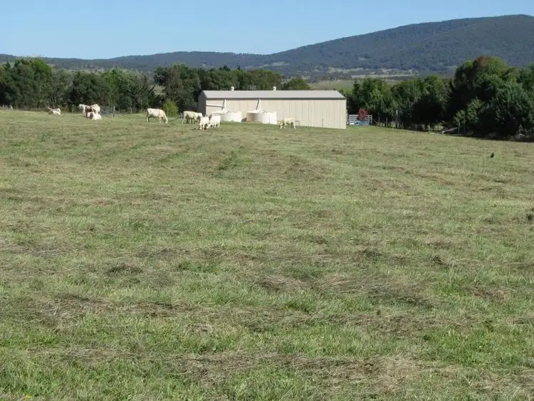 Sixth view of Homely rural property listing, Address available on request