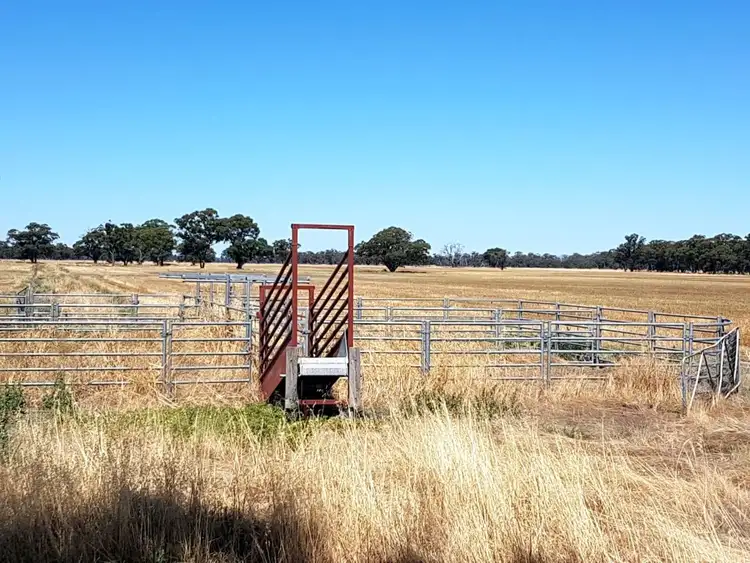 Fourth view of Homely rural property listing, 445 Kelly's Road, Numurkah VIC 3636