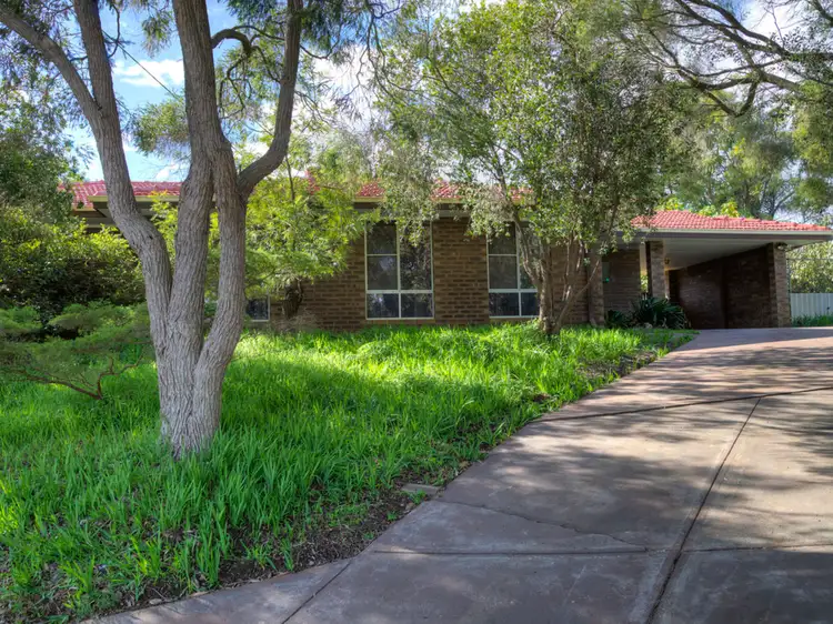 20 Sheoak Court, Forrestfield WA 6058