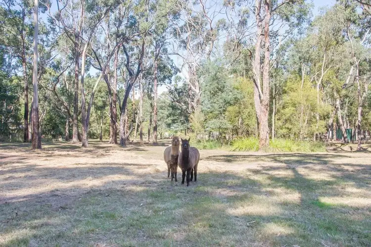 Fifth view of Homely land listing, 11 Guidehouse Road, Yarra Junction VIC 3797