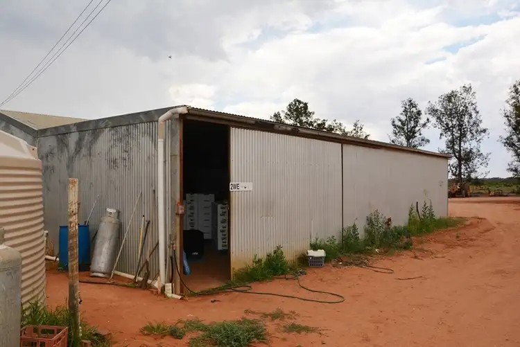 Sixth view of Homely rural property listing, 206 Paringi Road, Paringi NSW 3500