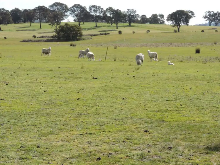 Fifth view of Homely rural property listing, 197 Kangaloolah Road, Binda NSW 2583