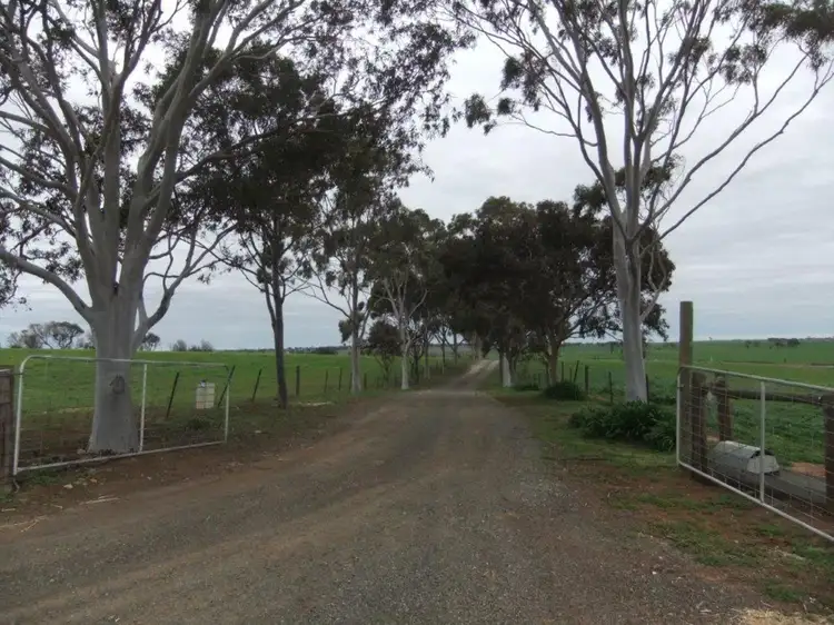 Main view of Homely rural property listing, Lot 249/3 Schirmer Road, Freeling SA 5372
