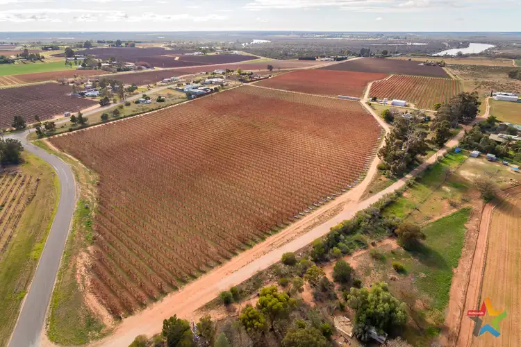 Third view of Homely rural property listing, 229 Nursery Ridge Road, Red Cliffs VIC 3496