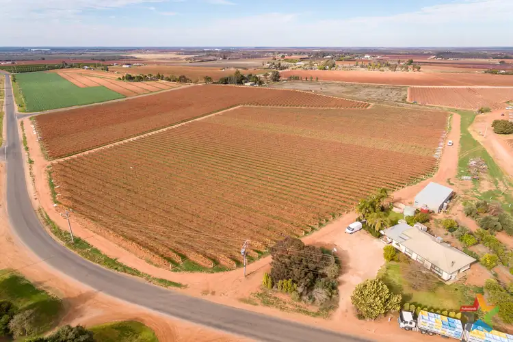 Fifth view of Homely rural property listing, 220 Stewart Road, Red Cliffs VIC 3496