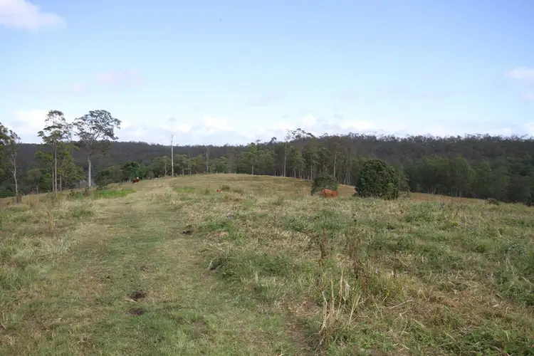 Seventh view of Homely rural property listing, 825 North Deep Creek Road, North Deep Creek QLD 4570