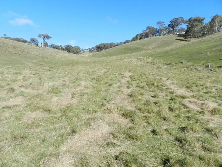 Sixth view of Homely rural property listing, 1374 Kangaloolah Road, Binda NSW 2583
