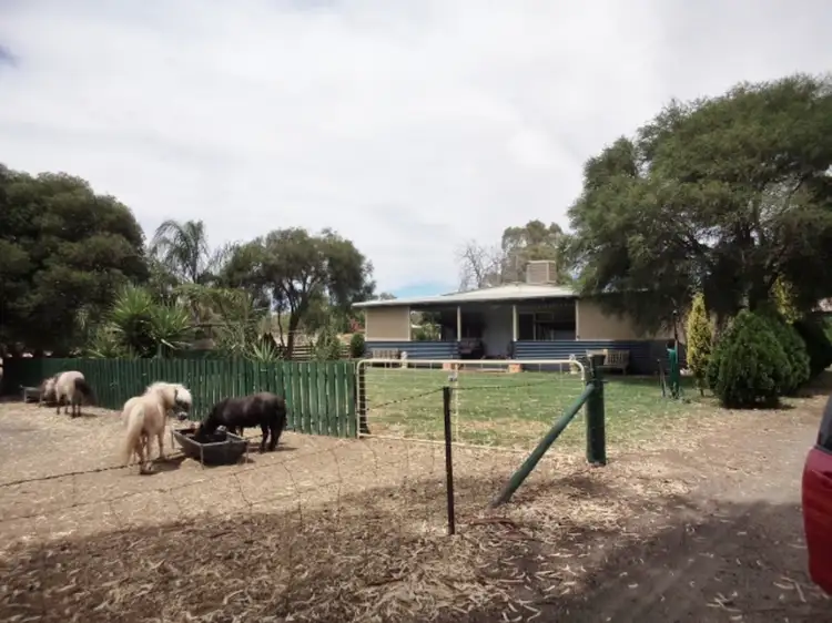 Main view of Homely rural property listing, 324 Pental Island Road, Swan Hill VIC 3585