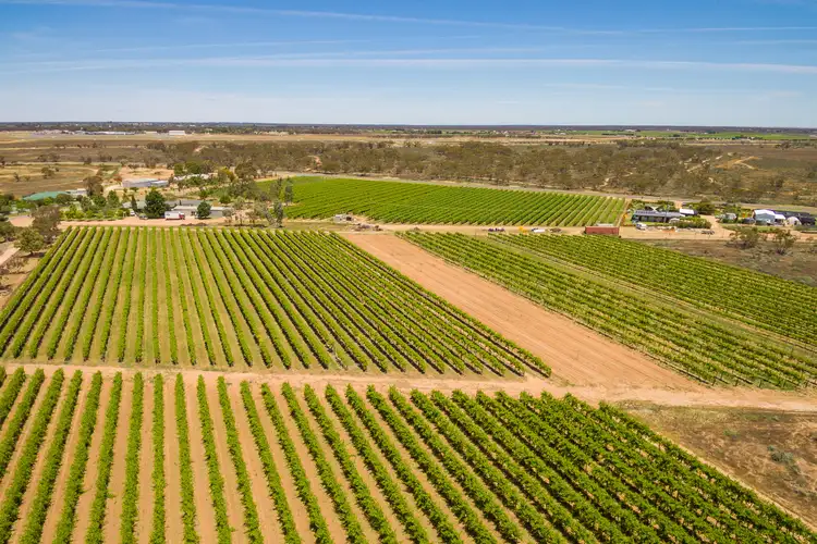 Fourth view of Homely rural property listing, Lot/2 & 3 Dow Avenue, Cabarita VIC 3505