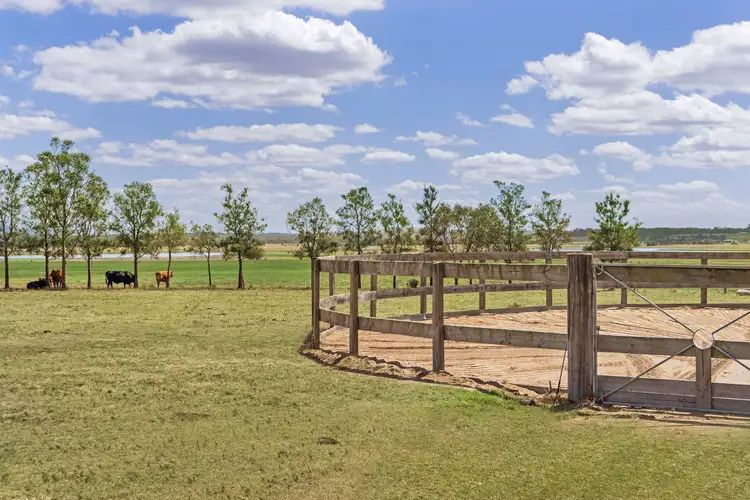 Third view of Homely rural property listing, 38 Hungerford Lane, Gillieston Heights NSW 2321