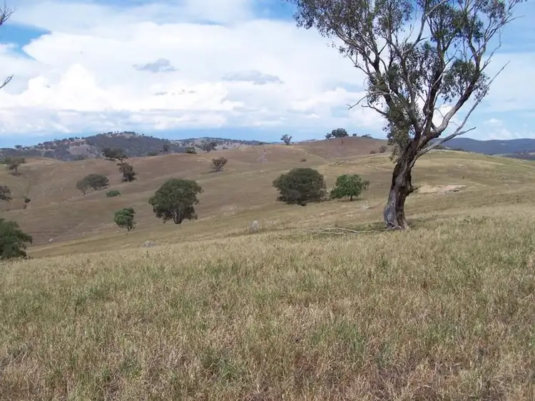 Seventh view of Homely rural property listing, 141 Blackmans Road, Bigga NSW 2583