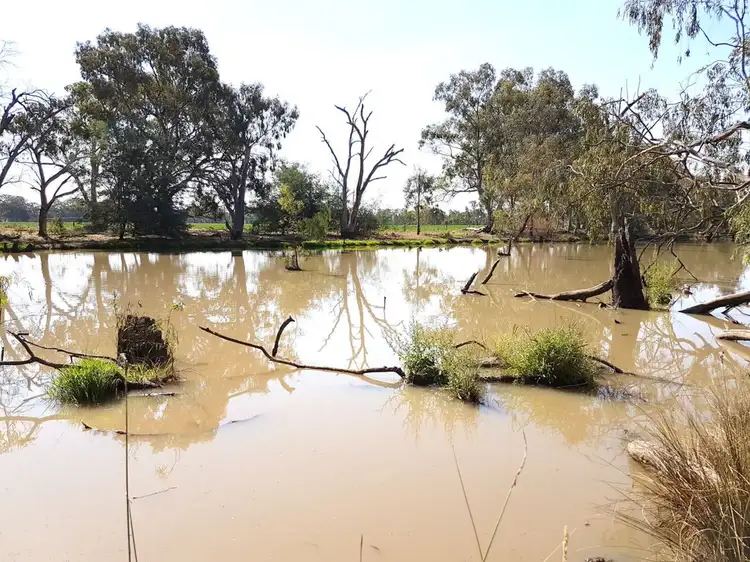 Second view of Homely rural property listing, 497 Nathalia-Waaia Road, Nathalia VIC 3638
