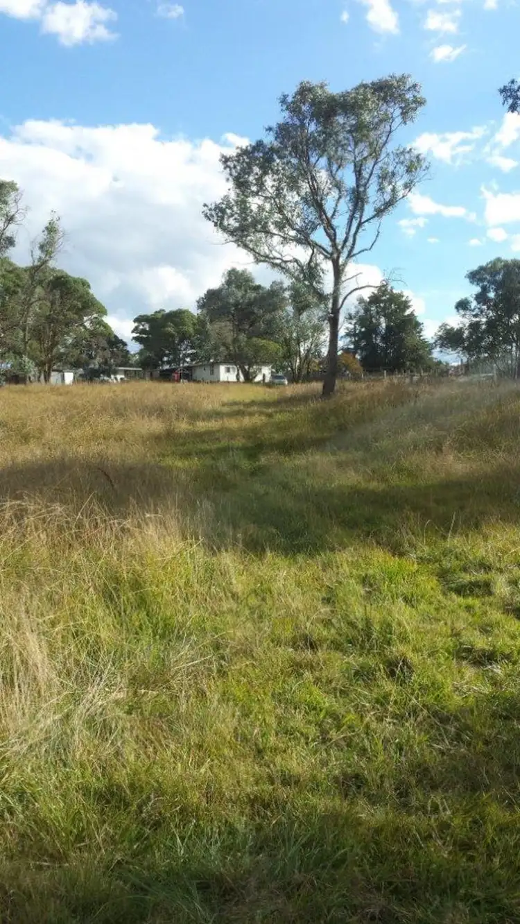 Fifth view of Homely rural property listing, 500 Dyamberin Road, Wongwibinda NSW 2350