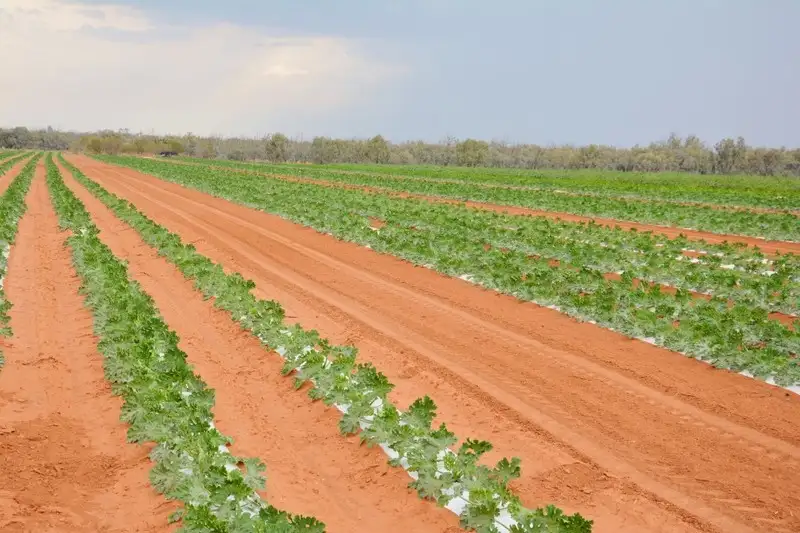 Main view of Homely rural property listing, 206 Paringi Road, Paringi NSW 3500