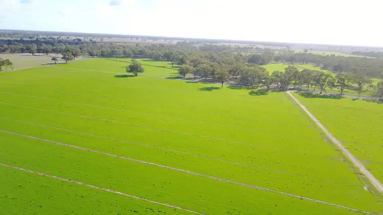 Sixth view of Homely rural property listing, 180 Swamp Road, Wunghnu VIC 3635