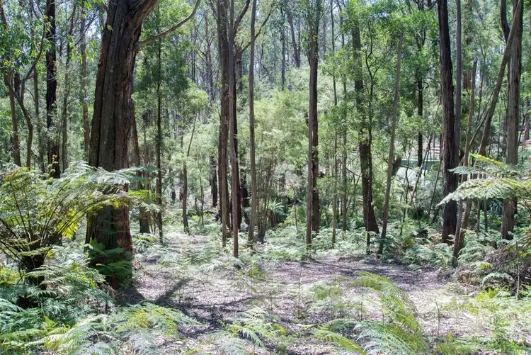 Fourth view of Homely land listing, 19 Lyrebird Avenue, East Warburton VIC 3799
