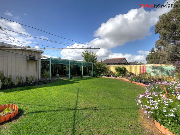 Fifth view of Homely house listing, 11 Pavetta Crescent, Forrestfield WA 6058