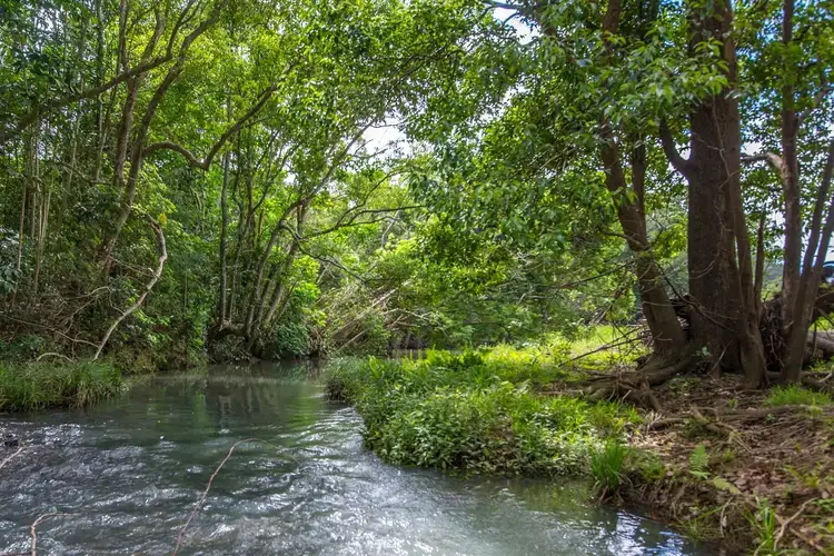 Fourth view of Homely rural property listing, Lot 8/46 Durrumbul Road, Main Arm NSW 2482