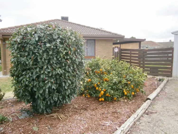 Third view of Homely house listing, 25 Logan Street, Swan Hill VIC 3585