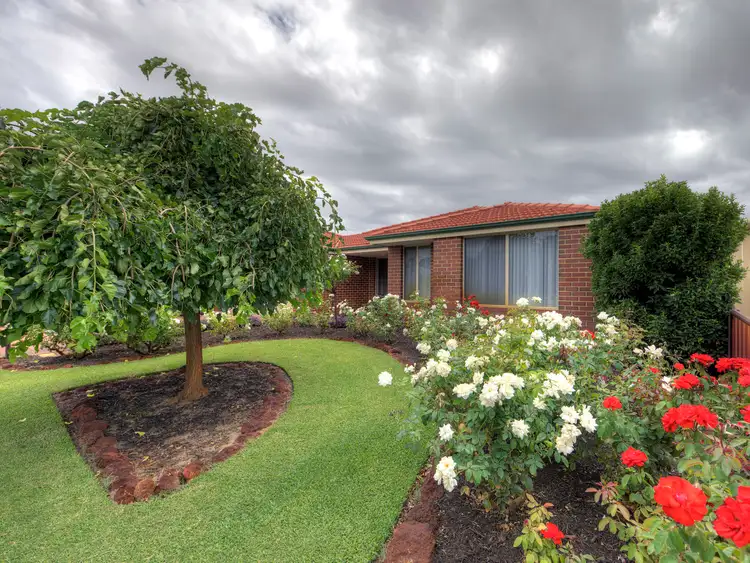 Second view of Homely house listing, 29 Phar Lap Road, Wattle Grove WA 6107