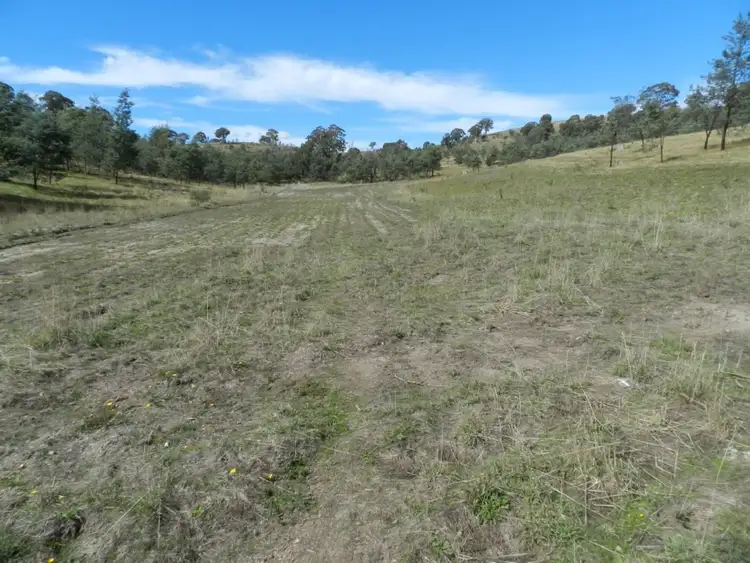 Fourth view of Homely rural property listing, 1252 Kangaloolah Road, Binda NSW 2583