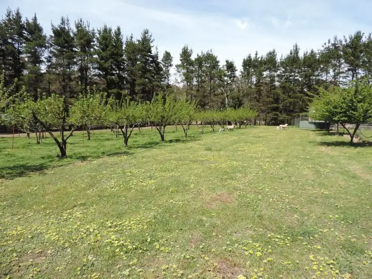 Second view of Homely rural property listing, 5454 Oallen Ford Road, Bungonia NSW 2580