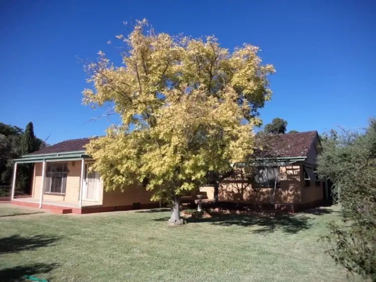 20-22 Cemetery Road, Lake Boga VIC 3584