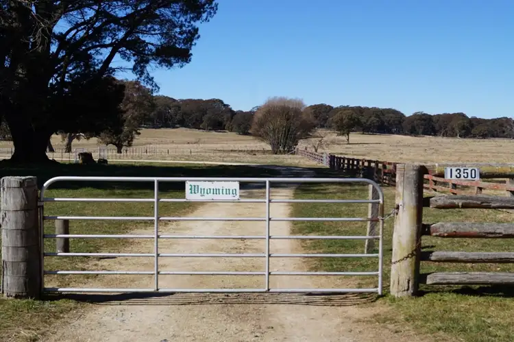 1350 Wards Mistake Road, Guyra NSW 2365