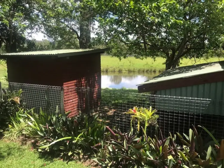 Seventh view of Homely rural property listing, 1533 Nimbin Road, Goolmangar NSW 2480