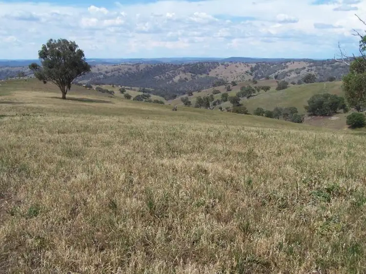 Fourth view of Homely rural property listing, 141 Blackmans Road, Bigga NSW 2583