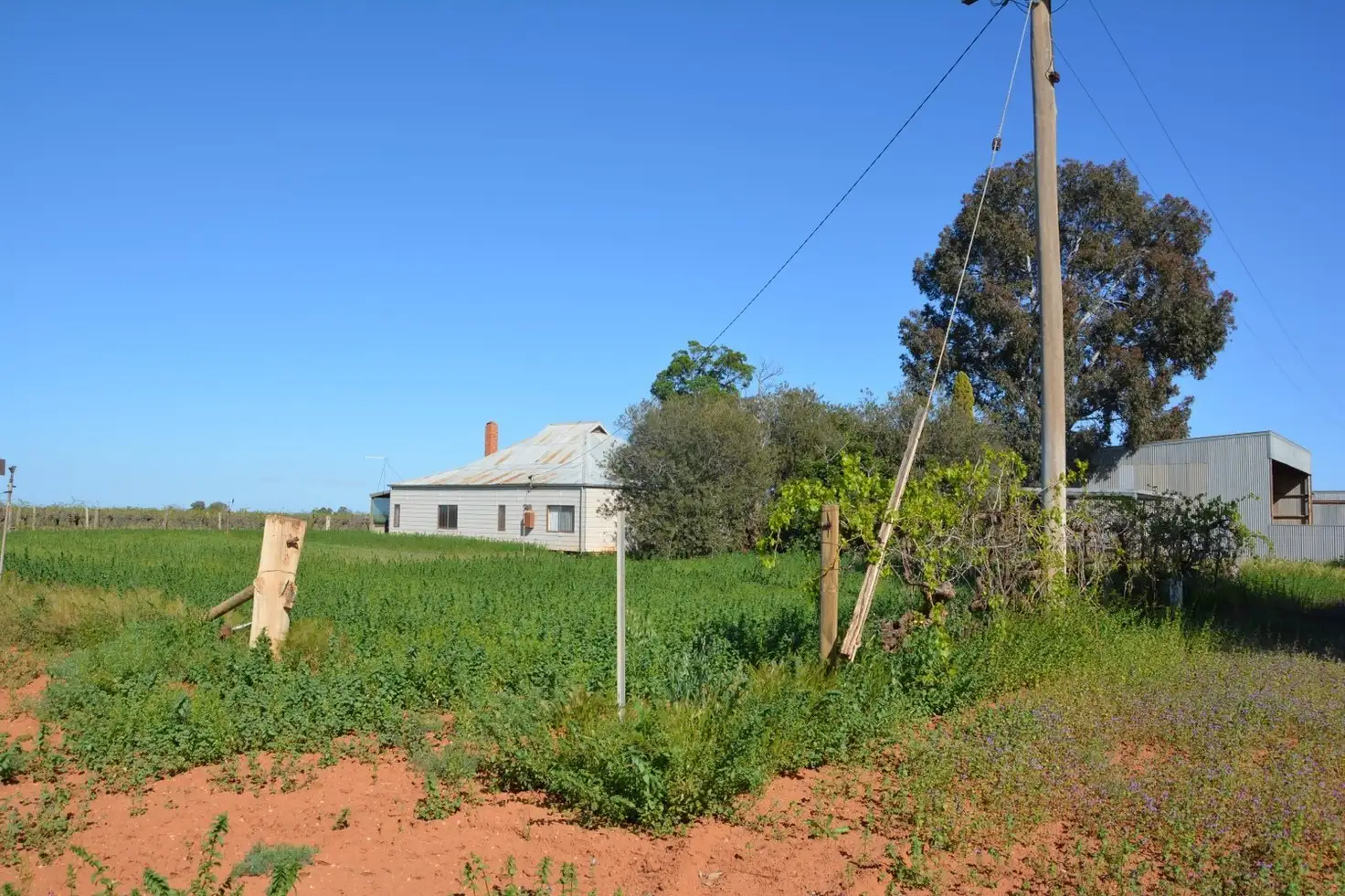 Main view of Homely house listing, 5 Kuhanez Road, Merbein South VIC 3505
